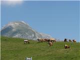 Blato-Krstenica-Laz-Planina pri Jezeru pravi planinski raj na Krstenici